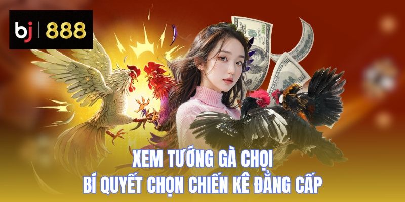 xem tuong ga choi thumb 1