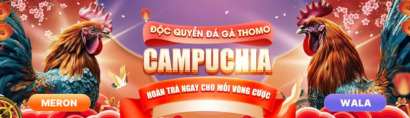 Thiet ke chua co ten 1 e1771655420161